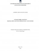 Resenha Critica - Depois do Gelo: Uma História Humana Global 20000 - 5000 a.C. de Stven Mithen