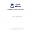 A Gestão de classe A da Empresa Postes Nordeste S.A