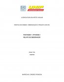 PRÁTICA DE ENSINO: OBSERVAÇÃO E PROJETO (PE:OP)