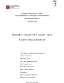 Relatório - Suspensão de Captopril