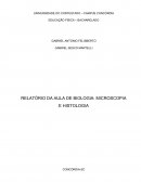 RELATÓRIO DA AULA DE BIOLOGIA: MICROSCOPIA E HISTOLOGIA
