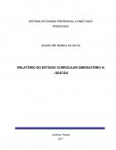 RELATÓRIO DO ESTÁGIO CURRICULAR OBRIGATÓRIO III - GESTÃO
