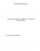 ANÁLISE ADMINISTRATIVA E AMBIENTAL DA COMPANHIA VALE DO RIO DOCE.