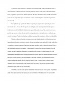 O Desenvolvimento Físico, Cognitivo e Psicossocial nos Três Primeiros Anos