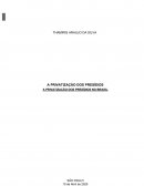 A PRIVATIZAÇÃO DOS PRESÍDIOS NO BRASIL