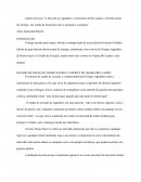 Análise do Texto “A filosofia de Agamben, o terrorismo de Bin Laden e o Direito penal do inimigo: um estudo de fronteiras entre a proteção e a punição”