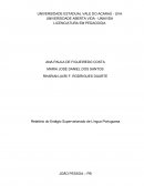 Relatório de Estágio Supervisionado III de Língua Portuguesa