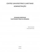 ATIVIDADE PORTFÓLIO ELASTICIDADE-PREÇO DA DEMANDA