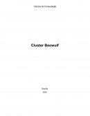 Ciencia da Computação Cluster Beowulf
