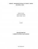 ANALISE DE MERCADO O AMBIENTE EXTERNO E SUAS VARIÁVEIS