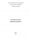 RELATÓRIO DA TÉCNICA OBSERVAÇÃO SISTEMÁTICA