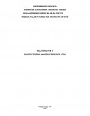 O RELATÓRIO PIM V SANTOS TERRAPLANAGEM E SERVIÇOS LTDA