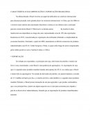 CARACTERÍSTICAS DAS IMPORTAÇÕES E EXPORTAÇÕES BRASILEIRAS