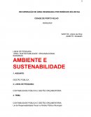 RECUPERAÇÃO DE ÁREA DEGRADADA POR RESÍDUOS SÓLIDO NA CIDADE DE PORTO VELHO