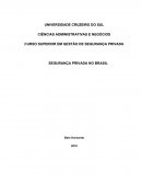 CURSO SUPERIOR EM GESTÃO DE SEGURANÇA PRIVADA SEGURANÇA PRIVADA NO BRASIL