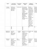 Quadro Comparativo de Microrganismos ( Bacilos Gram Negativos e Enterobactérias)