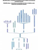 Mapa Mental Artigo “ A Importância da Qualidade de Vida no Trabalho e suas influencias nas Relações Humanas