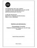 Psicopatologias Gerenciais: Estudo do Sofrimento Psíquico Por Trás do Cargo Gerencial