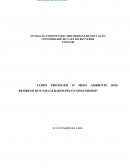 COMO PROTEGER O MEIO AMBIENTE DOS RESÍDUOS QUE SÃO GERADOS PELO CONSUMISMO?