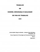 TRABALHO DE HIGIENE, SEGURANÇA E QUALIDADE  DE VIDA NO TRABALHO