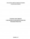 O USO RACIONAL DE RECURSOS NATURAIS NOS PROCESSOS PRODUTIVOS