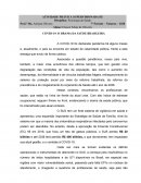 A ISSERTAÇÃO - O DRAMA DA SAÚDE BRASILEIRA NO COVID-19.docx