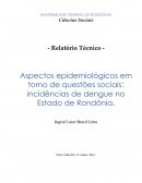 Aspectos Epidemiológicos Em Torno de Questões Sociais: Incidências de Dengue no Estado de Rondônia