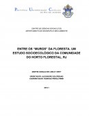 ENTRE OS “MUROS” DA FLORESTA. UM ESTUDO SOCIOECOLÓGICO DA COMUNIDADE DO HORTO FLORESTAL, RJ