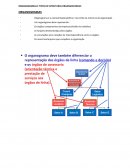 Os Organogramas Tipos de Estrutura