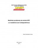 Bactérias Produtoras da Enzima KPC e a Resistência aos Carbapenêmicos