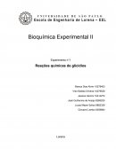 RELATÓRIO DE BIOQUÍMICA EXPERIMENTAL REAÇÕES QUÍMICAS DE GLICÍDIOS