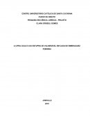 PROJETO TCC - ESTUPRO DE VULNERÁVEL EM CASO DE EMBRIAGUEZ FEMININA