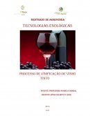 O Processo de Vinificação de Vinho Tinto