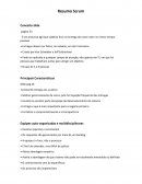 O Trabalho Scrum