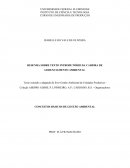 RESENHA SOBRE TEXTO INTRODUTÓRIO DA CADEIRA DE GERENCIAMENTO AMBIENTAL