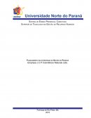 A AUDITORIA NOS PROCESSOS DE RECURSOS HUMANOS