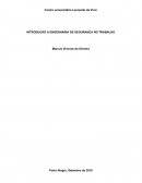 A INTRODUÇÃO A ENGENHARIA DE SEGURANÇA NO TRABALHO