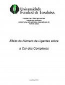 Relatório Efeito do Número de Ligantes sobre a Cor dos Complexos