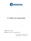 O Trabalho nas Organizações