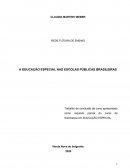 A EDUCAÇÃO ESPECIAL NAS ESCOLAS PÚBLICAS BRASILEIRAS