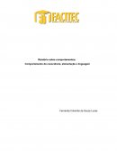 Relatório Sobre Comportamentos: Comportamento Da Consciência, Alimentação e Linguagem