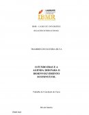 O FUNDO IBAS E A AGENDA 2030 PARA O DESENVOLVIMENTO SUSTENTÁVEL