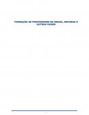 A FORMAÇÃO DE PROFESSORES NO BRASIL, ESPANHA E OUTROS PAÍSES