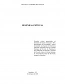 A produção sobre literatura infantil no GPHELLB – Grupo de Pesquisa História do ensino de língua e literatura no Brasil (1994-2014).