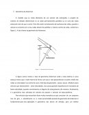 A Geometria de Ackerman