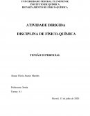 ATIVIDADE DIRIGIDA DISCIPLINA DE FÍSICO-QUÍMICA TENSÃO SUPERFICIAL