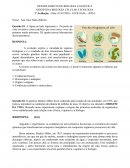 A DISCIPLINA BIOLOGIA CELULAR E ECOLOGIA