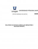 RELATÓRIO DO ESTÁGIO CURRICULAR OBRIGATÓRIO I EDUCAÇÃO INFANTIL