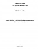 A IMPORTÂNCIA DA SEGURANÇA NO TRABALHO PARA O SETOR ELÉTRICO COM BASE NA NR-10