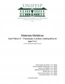 Relatório Matérias de Materiais Metálicos